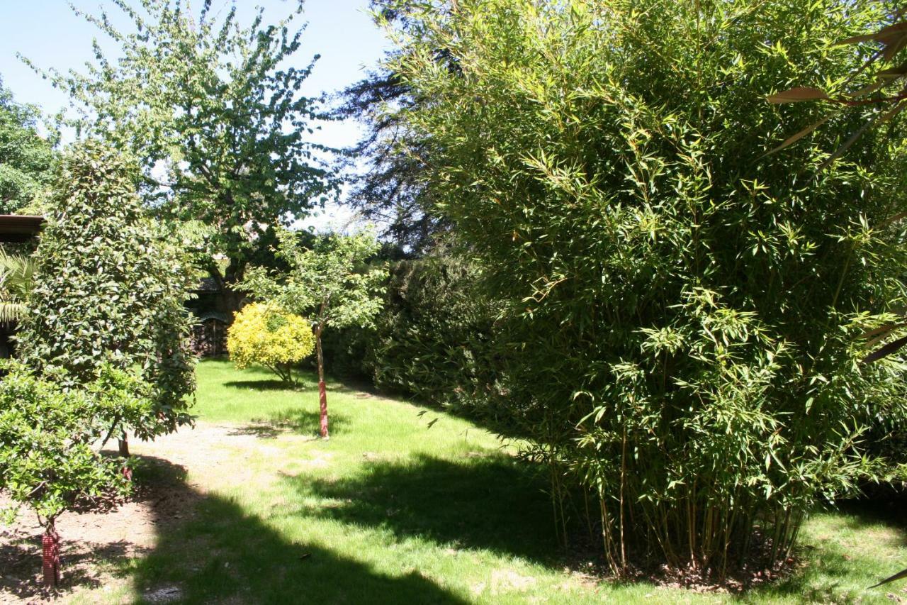 사르티아노 La Casa Di Rachele 아파트 외부 사진